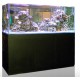 Blau aquaristic aquario Gran cubic 238