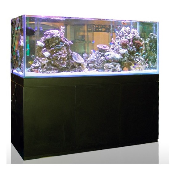 Blau aquaristic aquario Gran cubic 238