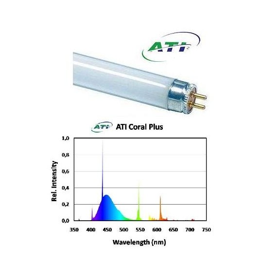 ATI Coral Plus 24W